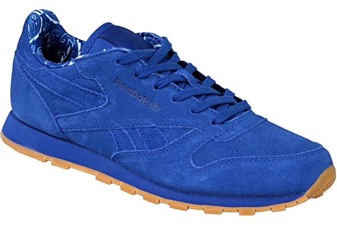 Reebok Classic Ādas TDC JR BD5052 bērnu apavi (56302) cena un informācija | Sporta apavi bērniem | 220.lv