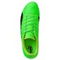 Puma Evo Power 3 FG 103956 01 futbola apavi (45032) cena un informācija | Futbola apavi | 220.lv