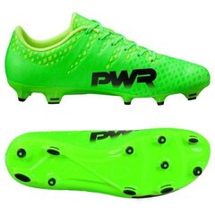 Футбольные бутсы Puma Evo Power 3 FG 103956 01 цена и информация | Футбольные бутсы Adidas Nemeziz 19.4 In J, зеленые | 220.lv