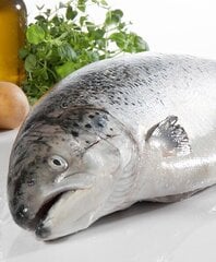 Barība pieaugušiem kaķiem Olivers ar lasi Cat Sensitive Digestion Salmon Grain Free, 8 kg cena un informācija | Sausā barība kaķiem | 220.lv