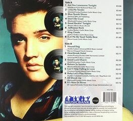 виниловая пластинка Elvis for Ever цена и информация | Виниловые пластинки, CD, DVD | 220.lv