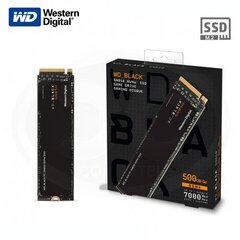 Western Digital WDS500G1X0E цена и информация | Внутренние жёсткие диски (HDD, SSD, Hybrid) | 220.lv