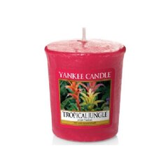Aromātiskā svece Yankee Candle Tropical Jungle 49 g cena un informācija | Sveces un svečturi | 220.lv