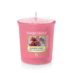 Aromātiskā svece Yankee Candle Roseberry Sorbet 49 g cena un informācija | Sveces un svečturi | 220.lv