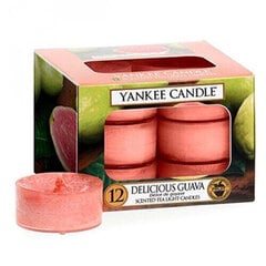 Ароматические чайные свечи Yankee Candle Delicious Guava 9,8 г, 12 шт цена и информация | Подсвечники, свечи | 220.lv