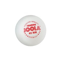 Bumbiņu komplekts Joola Training, 120 gab. cena un informācija | Galda tenisa raketes, somas un komplekti | 220.lv