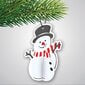 Aroma Ziemassvētku tematikas gaisa atsvaidzinātājs 3D Sniegavīrs - Karstvīna aromāts cena un informācija | Auto gaisa atsvaidzinātāji | 220.lv