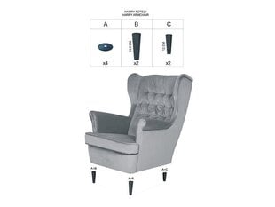 Кресло Signal Meble Harry, бежевое цена и информация | Кресла для отдыха | 220.lv