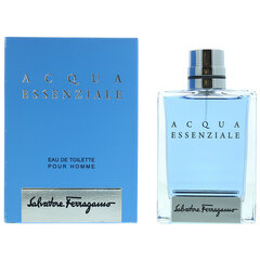 Tualetes ūdens vīriešiem Acqua Essenziale Homme Salvatore Ferragamo EDT: Tilpums - 100 ml cena un informācija | Salvatore Ferragamo Smaržas, kosmētika | 220.lv