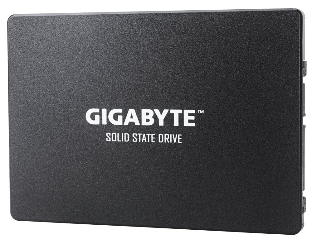 GIG GP-GSTFS31256GTND cena un informācija | Iekšējie cietie diski (HDD, SSD, Hybrid) | 220.lv