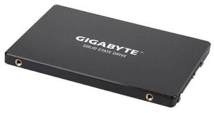 GIG GP-GSTFS31256GTND цена и информация | Внутренние жёсткие диски (HDD, SSD, Hybrid) | 220.lv