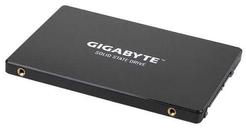 GIG GP-GSTFS31256GTND cena un informācija | Iekšējie cietie diski (HDD, SSD, Hybrid) | 220.lv