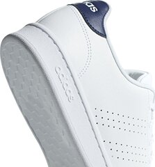 Sporta apavi vīriešiem Adidas Advantage M F36423, 55881, balti cena un informācija | Sporta apavi vīriešiem | 220.lv