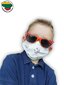 Vienreizlietojamās medicīniskās maskas bērniem Syntheos LT “Smaidiņš”, 50 gab. цена и информация | Pirmā palīdzība | 220.lv