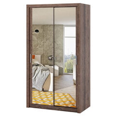 Шкаф с зеркалом Selsey Rinker 120, темно-коричневый цена и информация | Шкафы | 220.lv