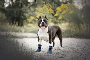 Amiplay suņu apavi Bristol, tumši zili, XS cena un informācija | Apģērbi suņiem | 220.lv
