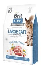 Brit Care Cat Grain-Free Large Cats Power Vitality полноценный корм для кошек 0,4кг цена и информация | Сухой корм для кошек | 220.lv