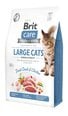 Brit Care Cat Grain-Free Large Cats Power Vitality полноценный корм для кошек 7кг