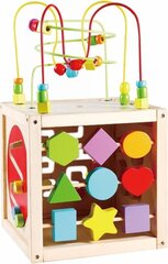 Koka izglītojošais kubs Activity Box cena un informācija | Rotaļlietas zīdaiņiem | 220.lv