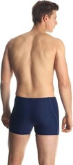 Плавательные шорты для мужчин Aqua- Speed Harry 44276- 44291 (55719) цена и информация | Плавки, плавательные шорты | 220.lv