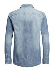 Мужская футболка с сдлинным рукавом цена и информация | Мужские рубашки | 220.lv