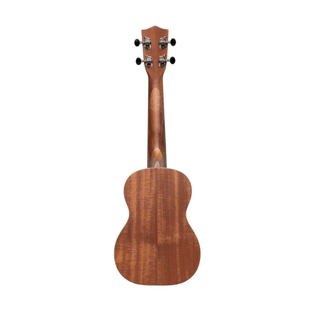 Koncerta ukulele Stagg UC-30 Spruce цена и информация | Ģitāras | 220.lv