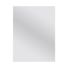 Spogulis Sensea Beamed, 45x60 cm, sudrabainas krāsas cena un informācija | Spoguļi | 220.lv