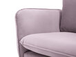 Divvietīgs dīvāns Cosmopolitan Design Vienna, rozā cena un informācija | Dīvāni | 220.lv
