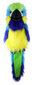 Papagailis Blue&Gold Macaw, liels putns, rokas lelle, The Puppet Company, PC003105 cena un informācija | Mīkstās (plīša) rotaļlietas | 220.lv