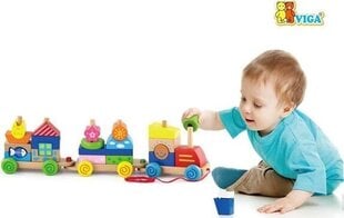 Krāsains velkamais vilciens Viga Toys cena un informācija | Rotaļlietas zīdaiņiem | 220.lv