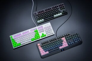 Кнопки клавиатуры Razer PBT Keycap Upgrade Set, зеленыe цена и информация | Клавиатуры | 220.lv