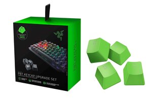 Кнопки клавиатуры Razer PBT Keycap Upgrade Set, зеленыe цена и информация | Клавиатуры | 220.lv