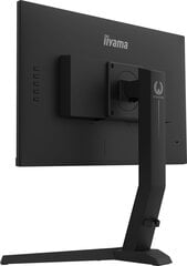 Iiyama 4948570117734 cena un informācija | Monitori | 220.lv