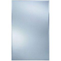 Spogulis Dubiel Vitrum SM, sudrabainas krāsas cena un informācija | Spoguļi | 220.lv