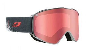Лыжные очки Julbo Alpha cat 2 цена и информация | Лыжные очки | 220.lv
