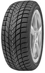 Delinte WD6 205/50R17 93 H цена и информация | Зимняя резина | 220.lv