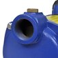 Ūdens strūklas sūknis, 1 300 W, 5 100 l/h, zils цена и информация | Dārza sūkņi | 220.lv