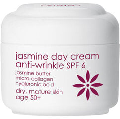 Увлажняющий дневной крем для зрелой кожи SPF 6 Ziaja Anti-wrinkle Jasmine, 50 мл цена и информация | Наносите на чистую кожу лица. Подержите около 10-15 минут и смойте водой. | 220.lv