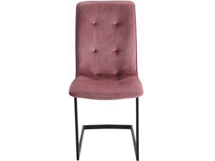 2-u krēslu komplekts Notio Living Oberyn, rozā cena un informācija | Virtuves un ēdamistabas krēsli | 220.lv