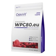 Йогурт OstroVit WPC 80 с черникой, 900 г цена и информация | Протеин | 220.lv