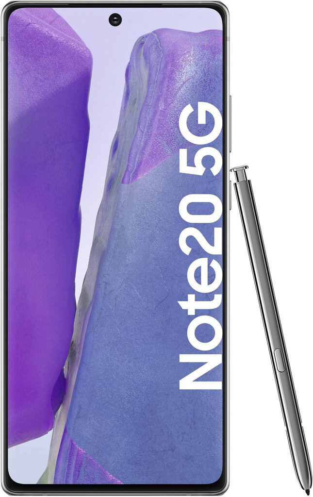 Samsung Galaxy Note 20 5G, 256GB, Dual SIM, Mystic Gray цена и информация | Mobilie telefoni | 220.lv