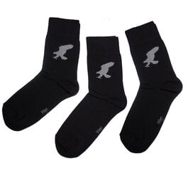Мужские носки "Орёл" (3 пары в упаковке) цена и информация | Мужские носки | 220.lv