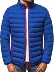 Куртка мужская Goll, синяя цена и информация | Мужские куртки | 220.lv
