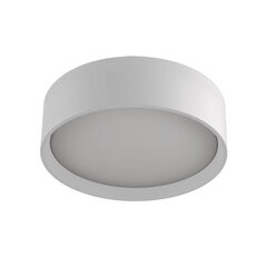 Light Prestige griestu lampa Hudsono White цена и информация | Потолочные светильники | 220.lv