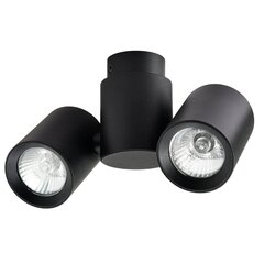 Light Prestige griestu lampa Boston 2 Black цена и информация | Потолочные светильники | 220.lv