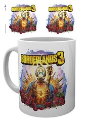 Borderlands 3 cena un informācija | Datorspēļu suvenīri | 220.lv