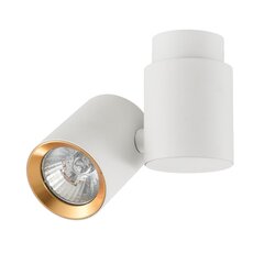 Light Prestige griestu lampa Boston 1 White/Gold цена и информация | Потолочные светильники | 220.lv