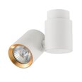 Light Prestige griestu lampa Boston 1 White/Gold