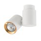 Light Prestige griestu lampa Boston 1 White/Gold cena un informācija | Griestu lampas | 220.lv