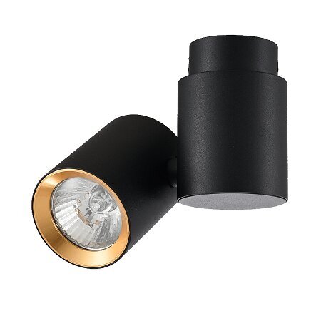 Light Prestige griestu lampa Boston 1 Black/Gold цена и информация | Griestu lampas | 220.lv